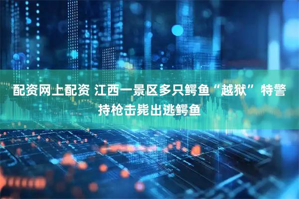 配资网上配资 江西一景区多只鳄鱼“越狱” 特警持枪击毙出逃鳄鱼