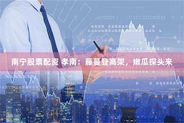 南宁股票配资 孝南:藤蔓登高架,嫩瓜探头来
